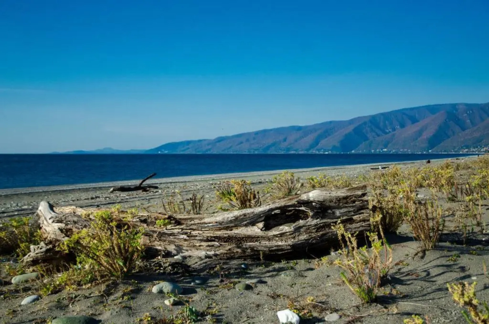 Гостевой дом Тория