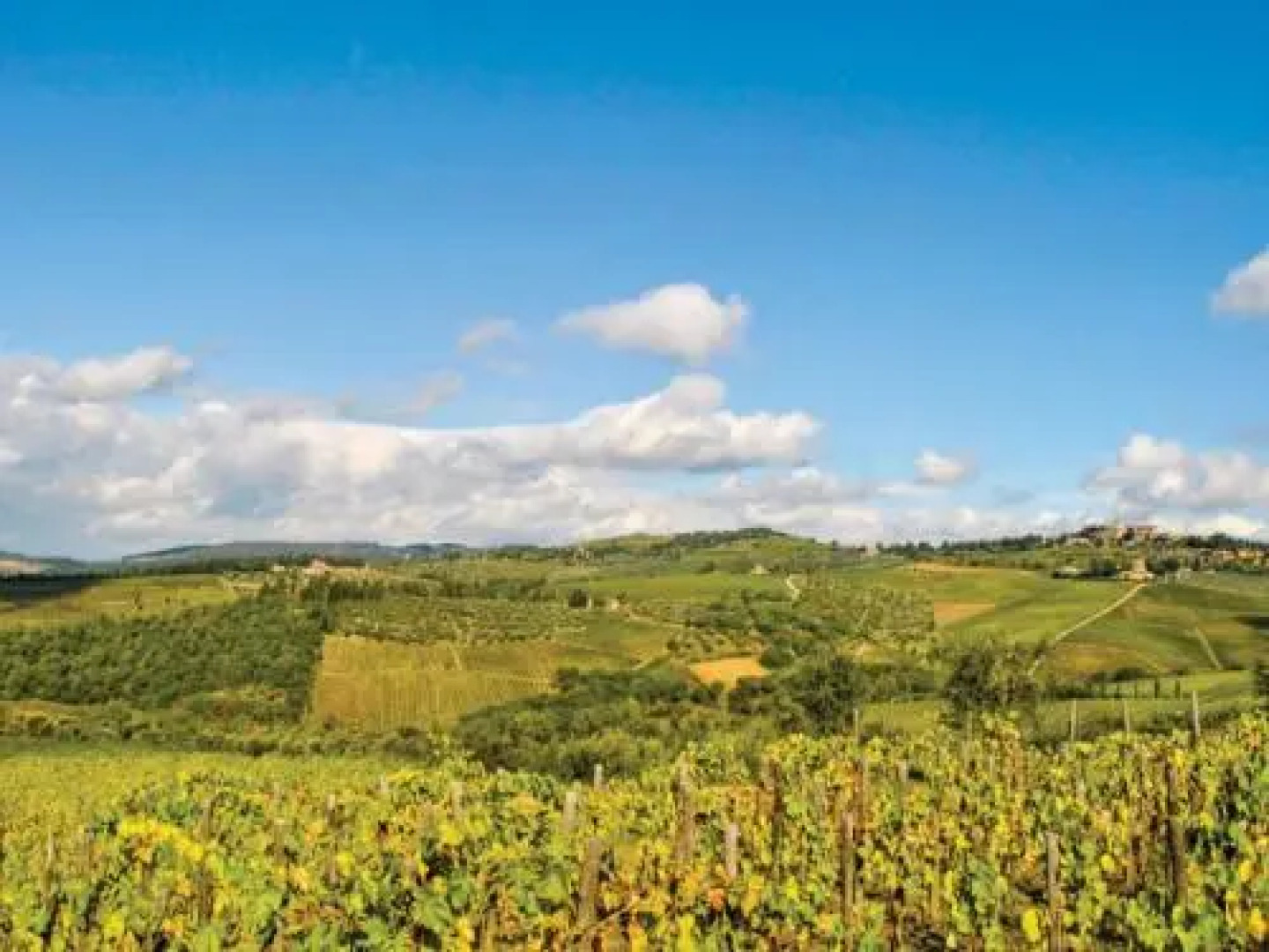 Locazione Turistica Tipologia Classic