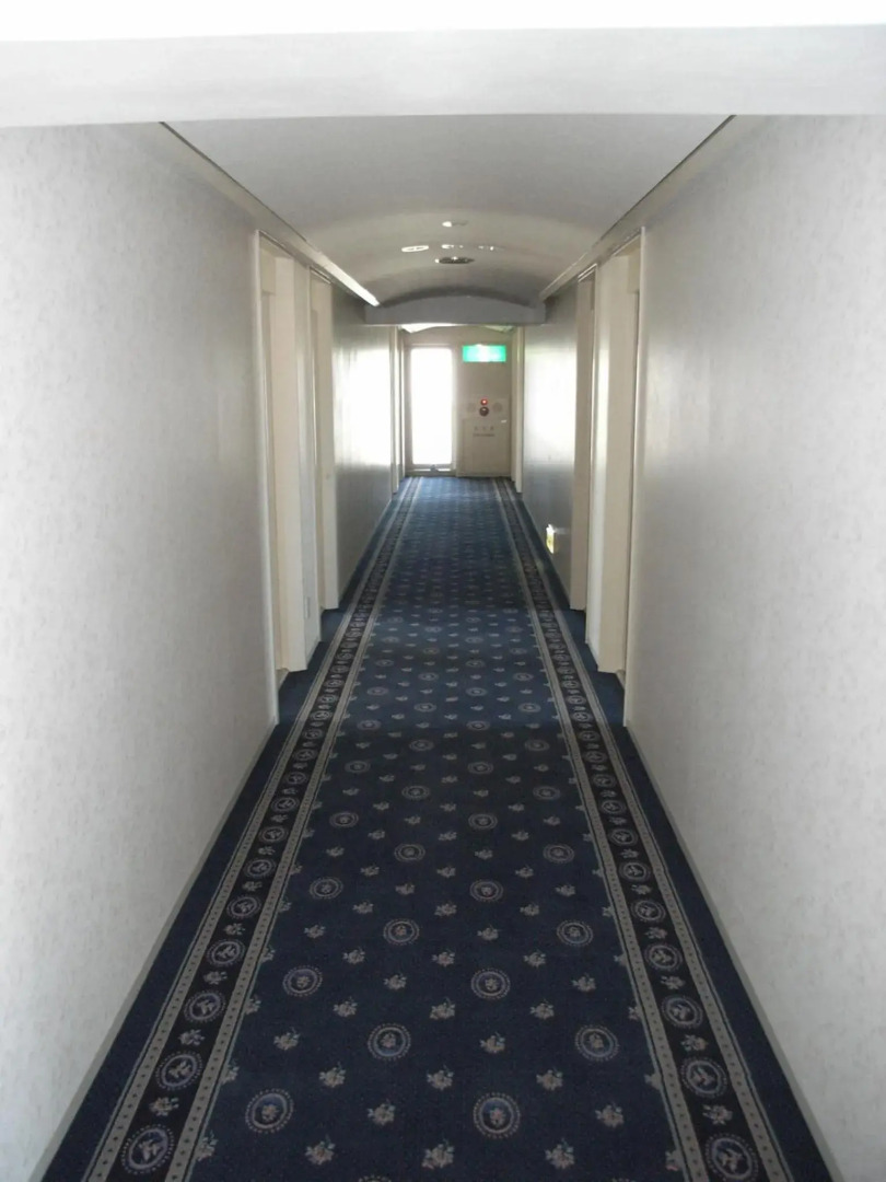 Hotel New Green Tsubame Sanjo