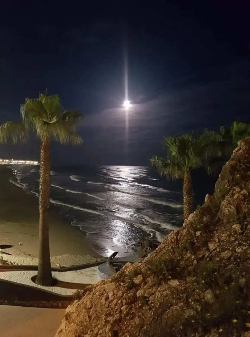 Del Parque Flats Limonero