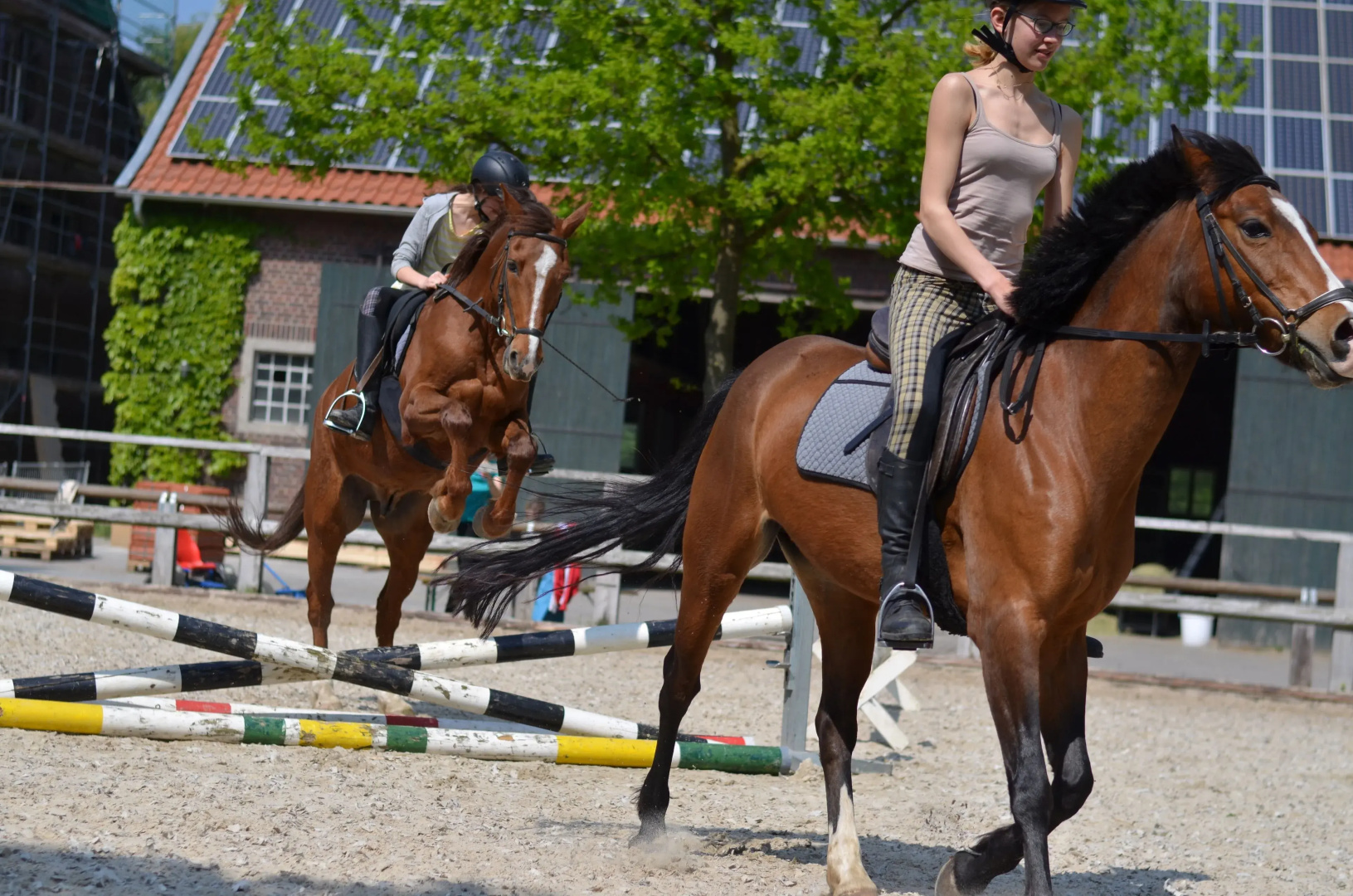 Ponyhof Georgenbruch