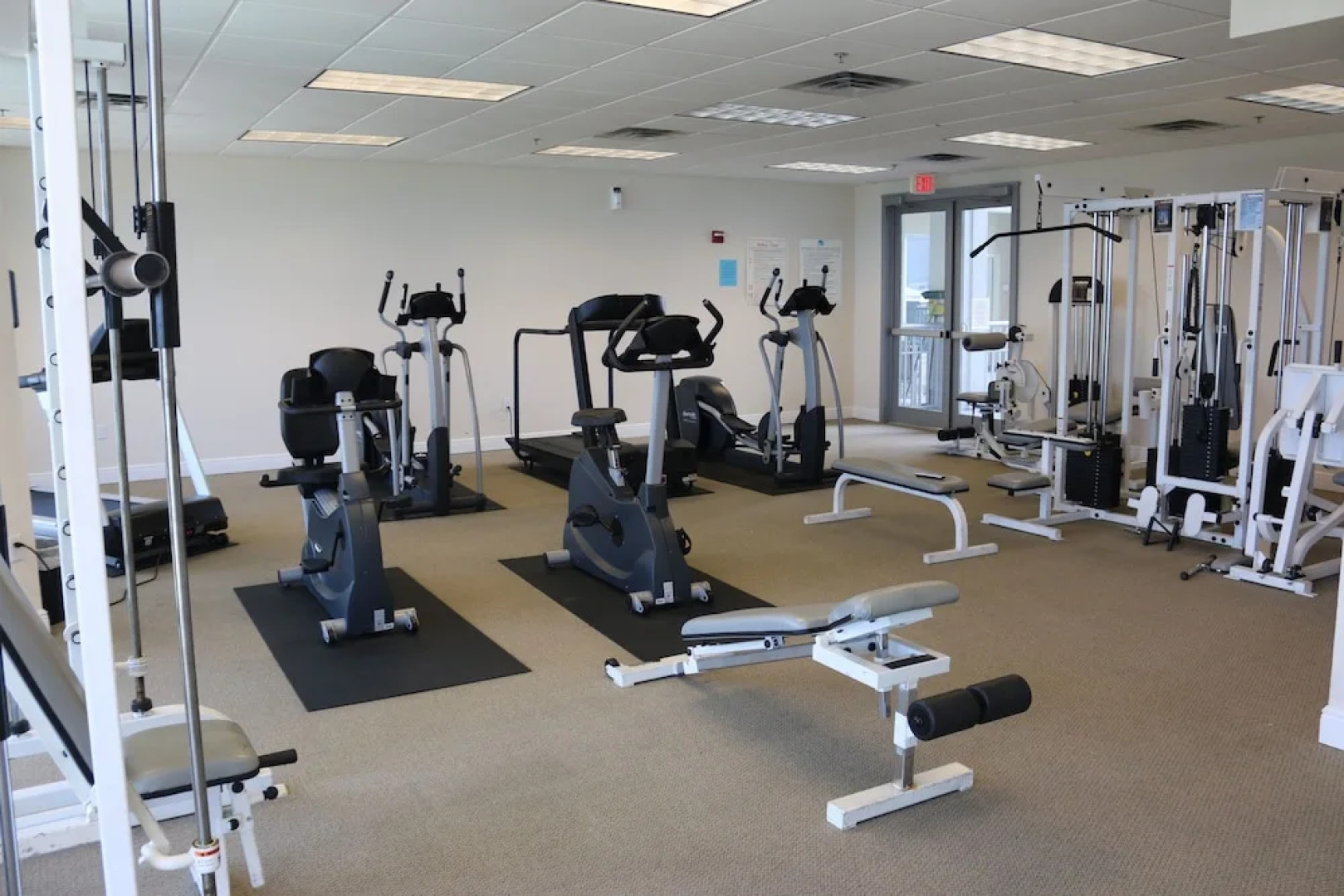 Emerald Dolphin by Surfside VR