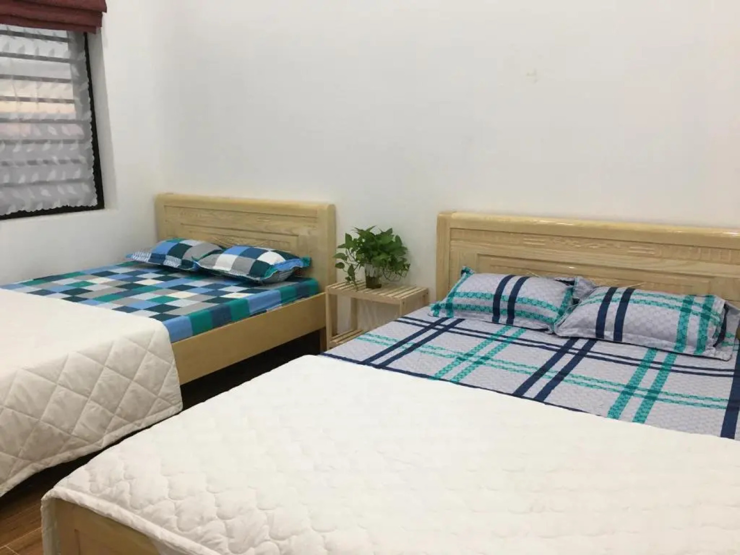 Ken King 2 - homestay gần biển giá rẻ