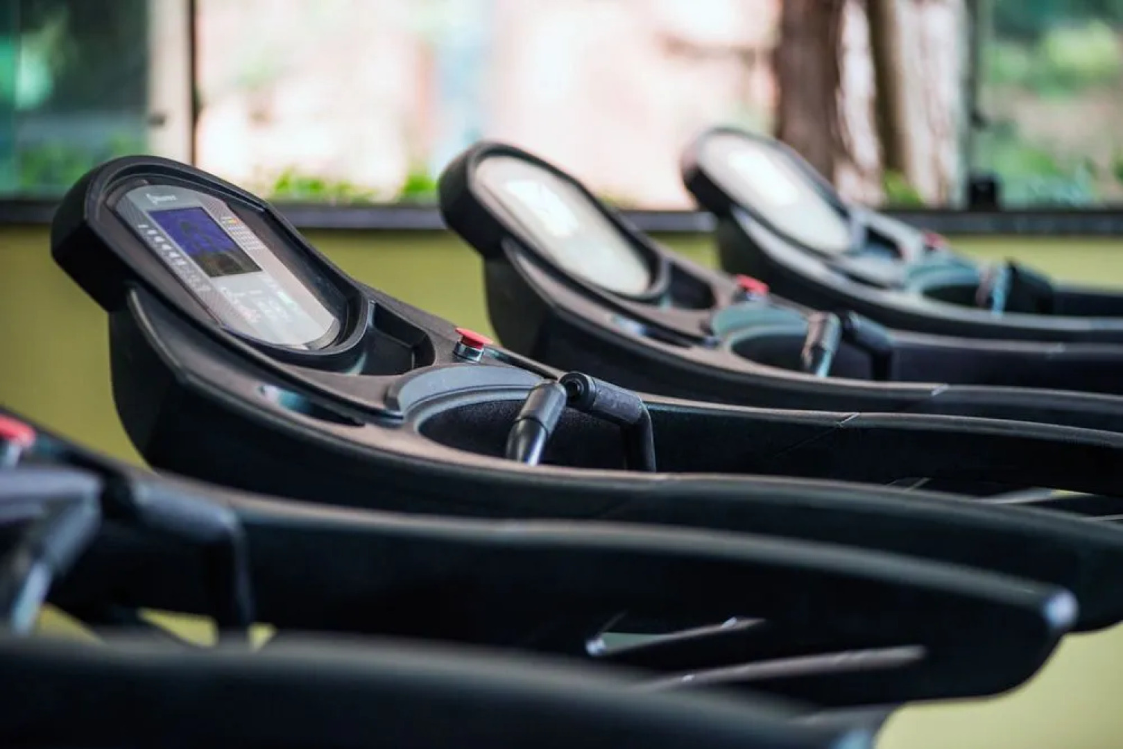 Oscar Inn Eco Resort