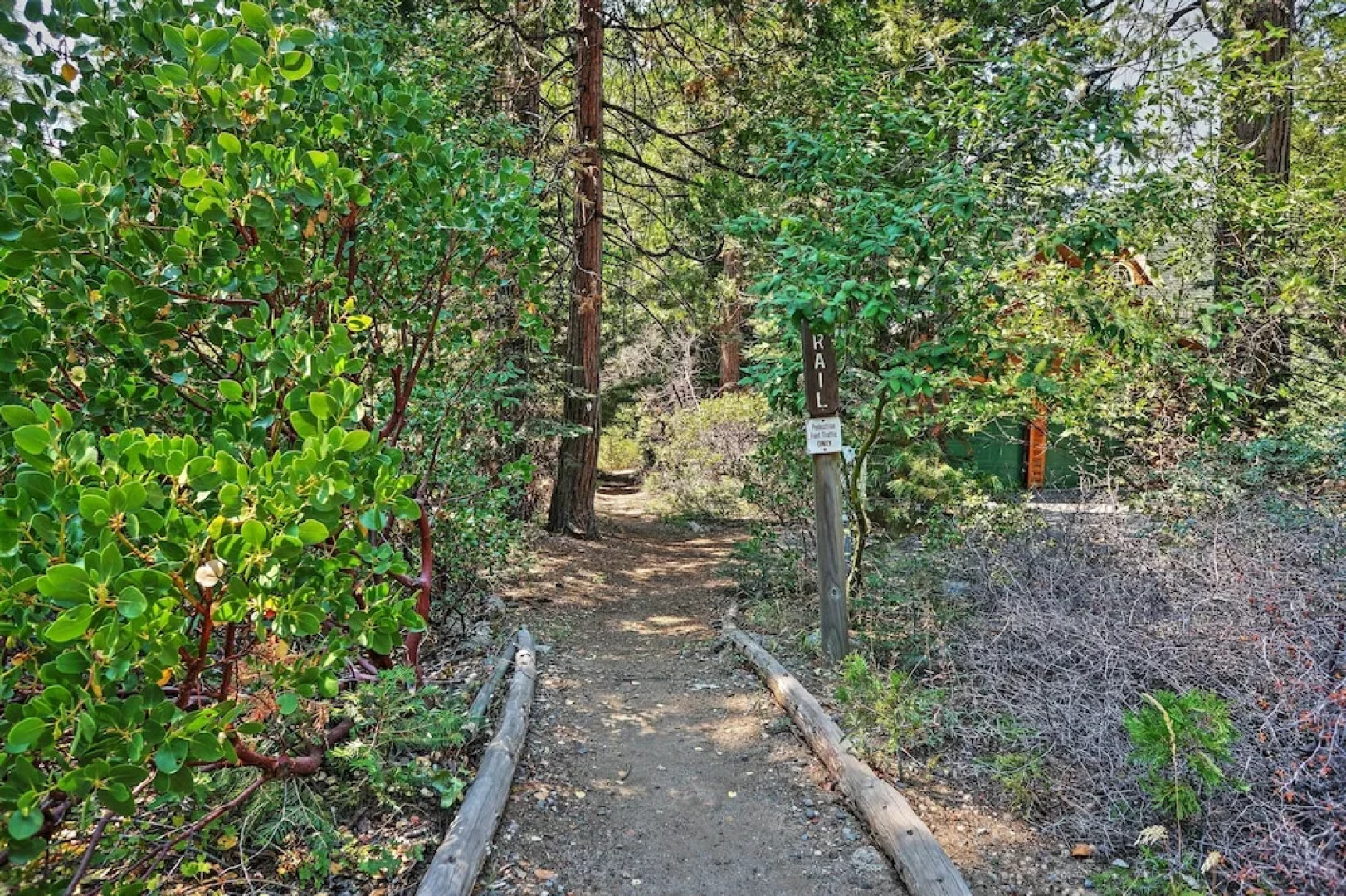 Hot Tub, Deck & Trail Access: Shaver Lake Cabin