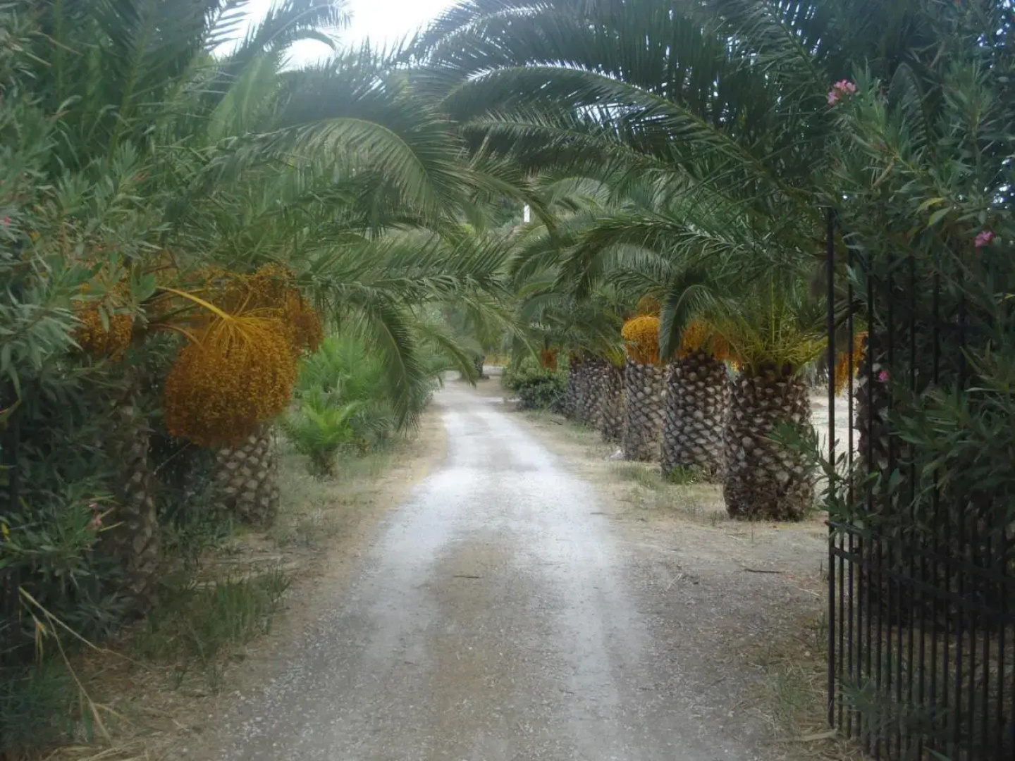 Villa Theodora