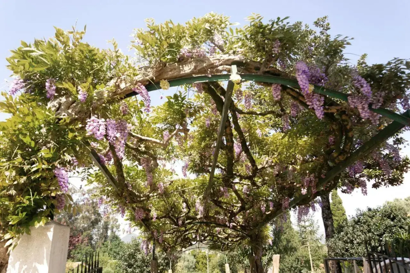 Hotel Rural Solar das Arcadas