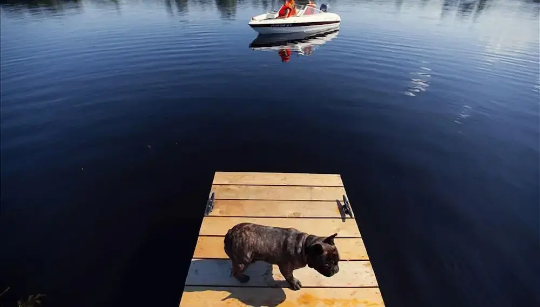 Yacht-Club Medvedica