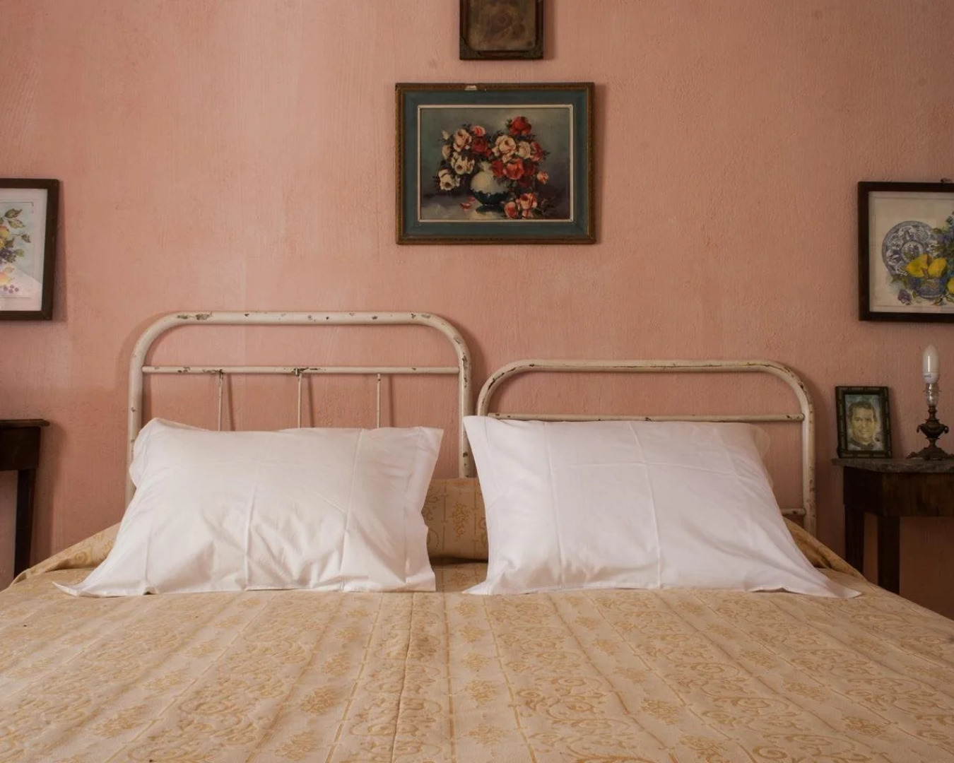 Uva do Monte - Blueberry Farm