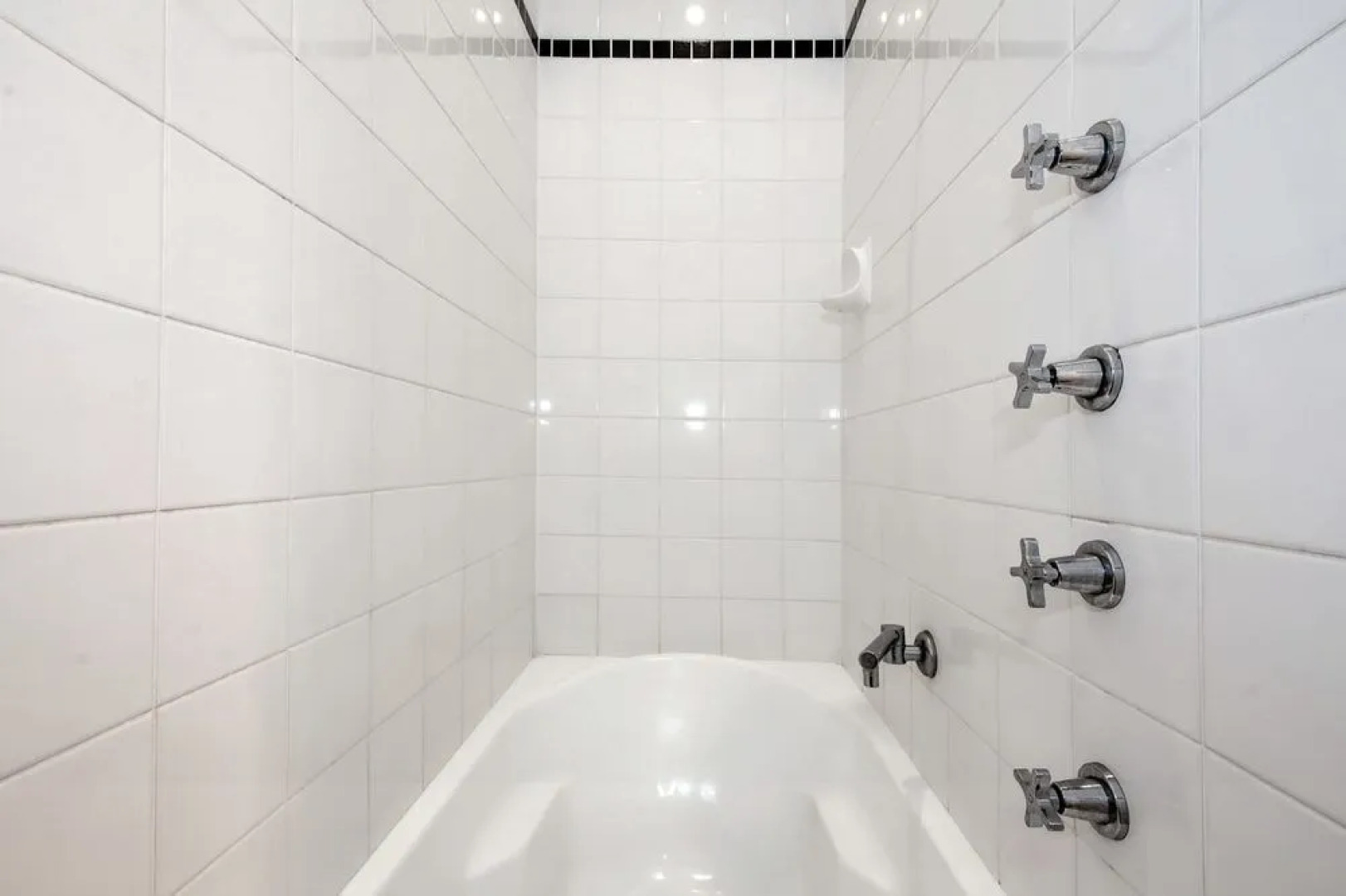 Christmas Bush Avenue No.11