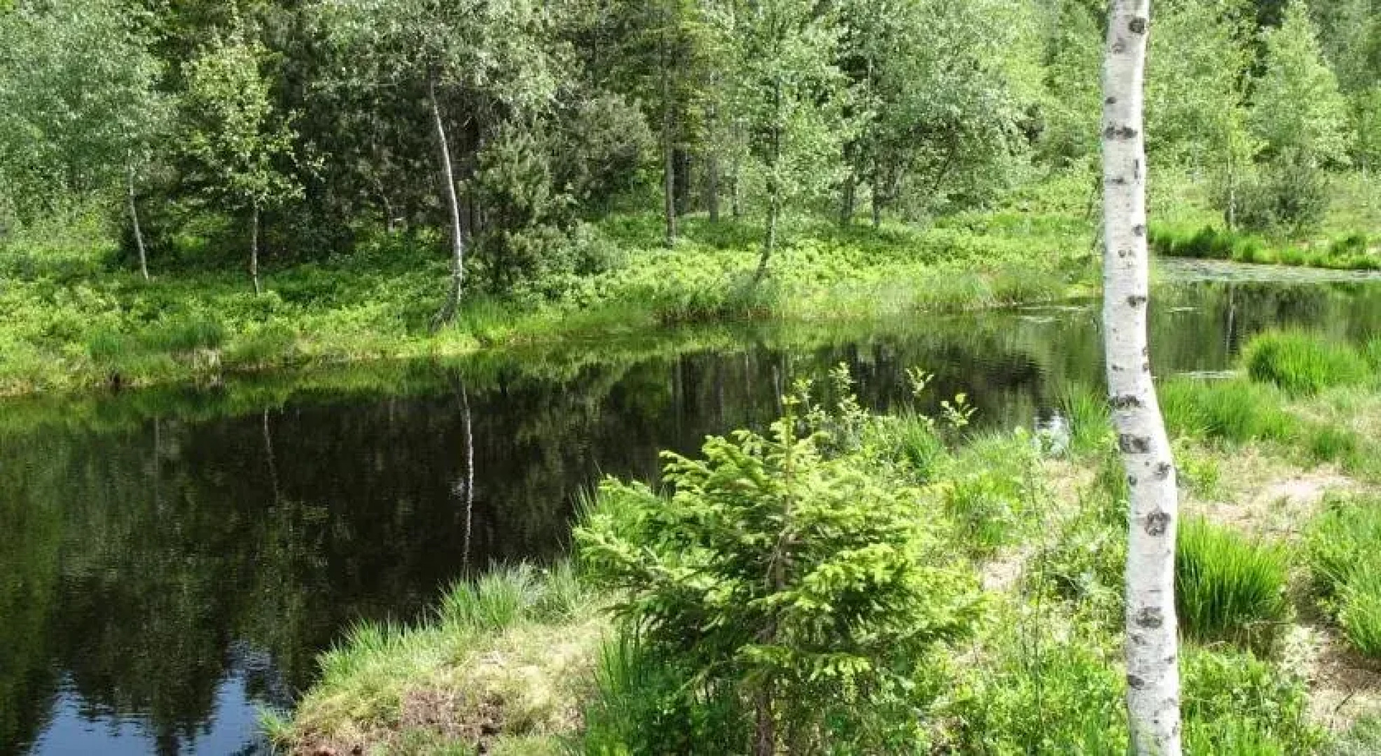 Haus Dreiländerblick