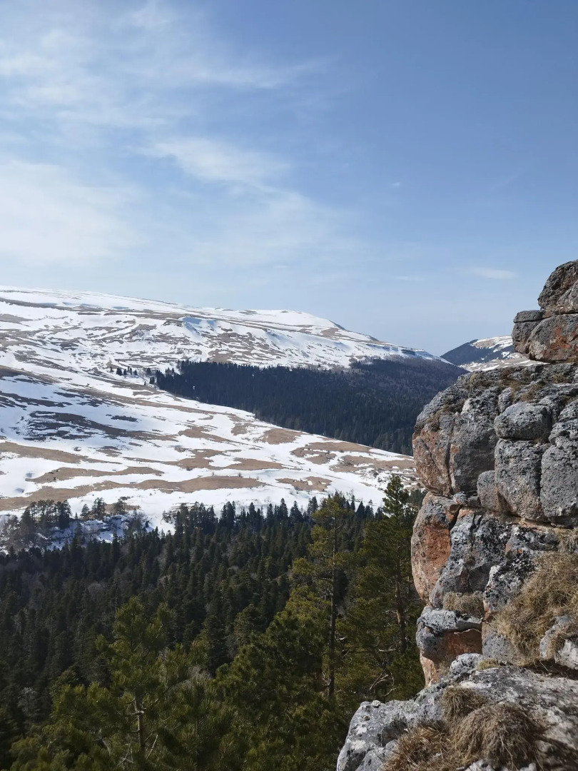 Парк Южного Периода