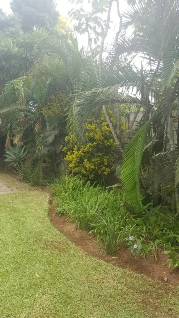 Spring Acres Guest House