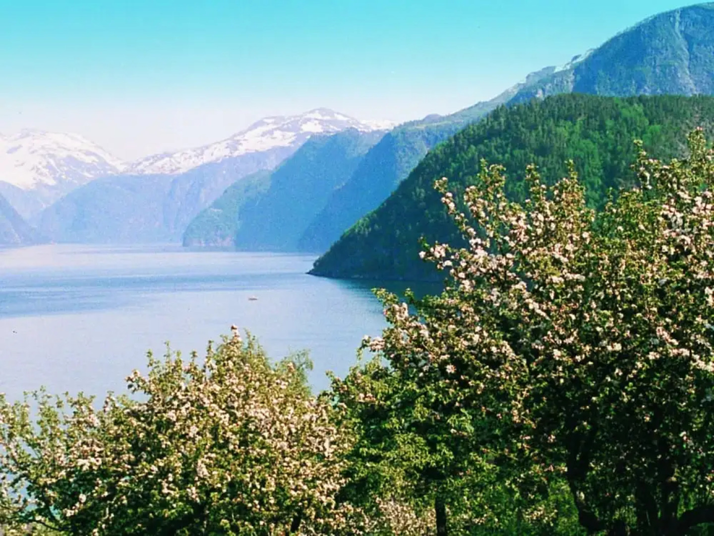 6 Person Holiday Home in Norddal