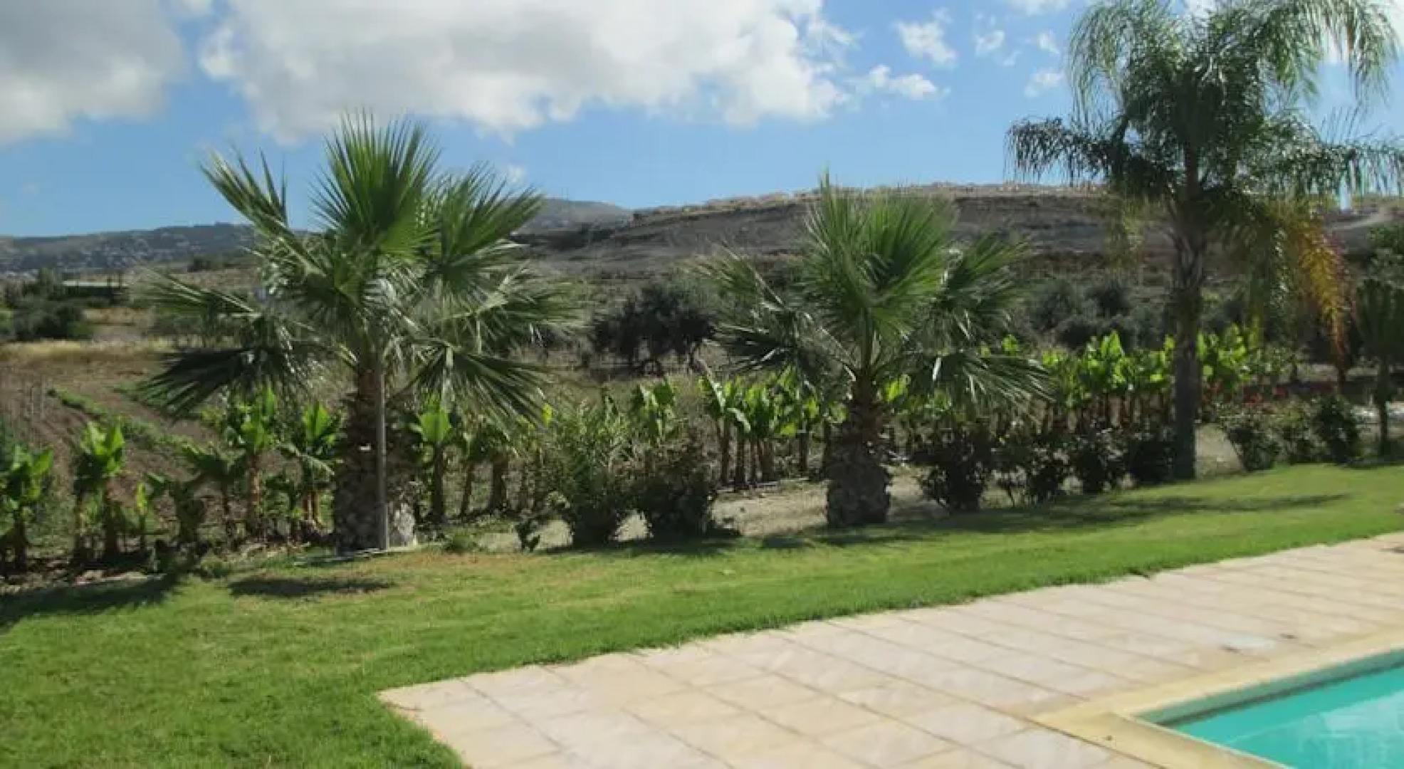 Dimitra Complex - Families Only