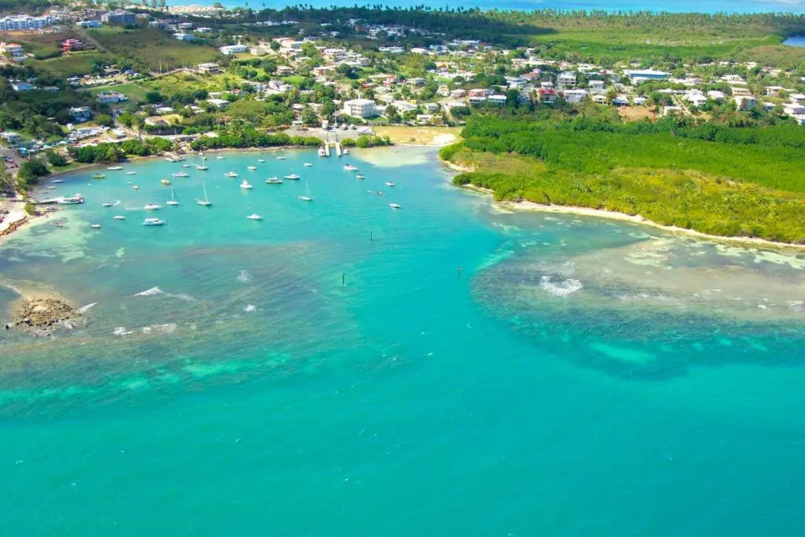 Cozy apartment near the beach (#3)