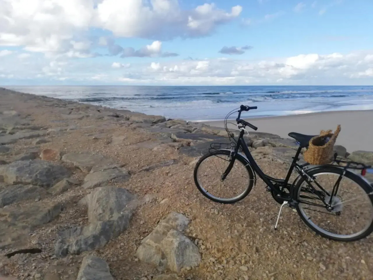 O VIOLAS — Tapas & Bed