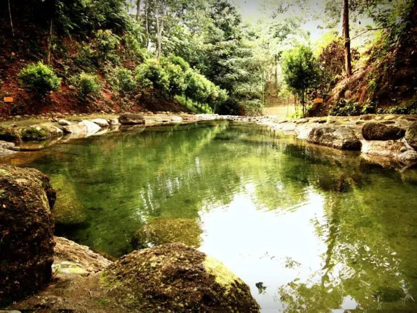 Refreshing Springs Resort