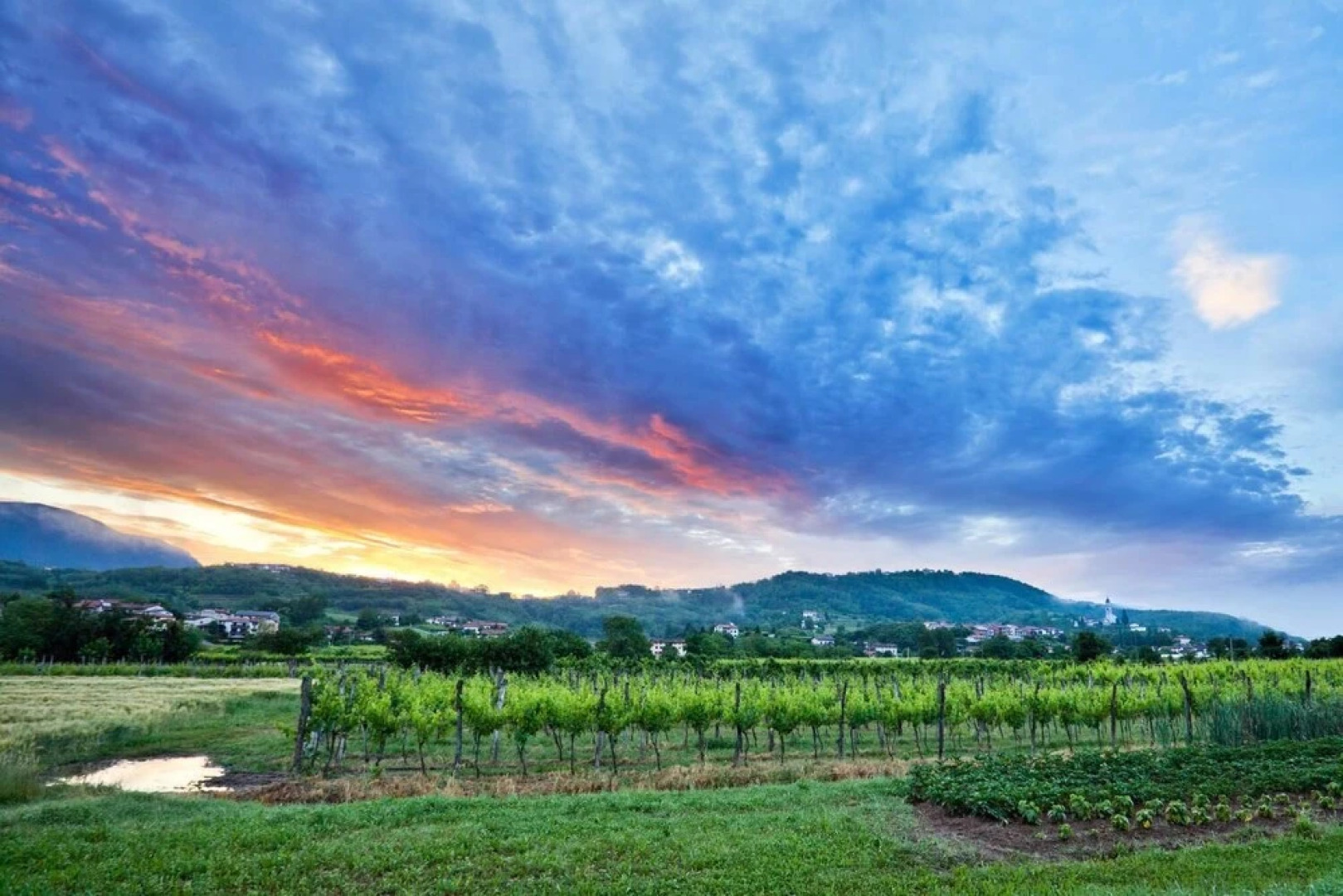 Guesthouse Ošterija