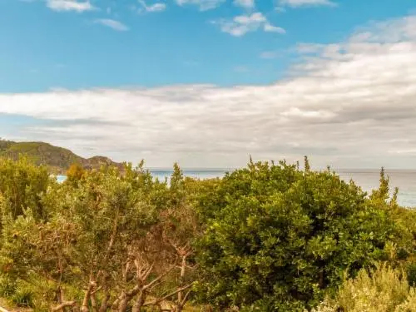 Sea Bliss - Oceanside 04