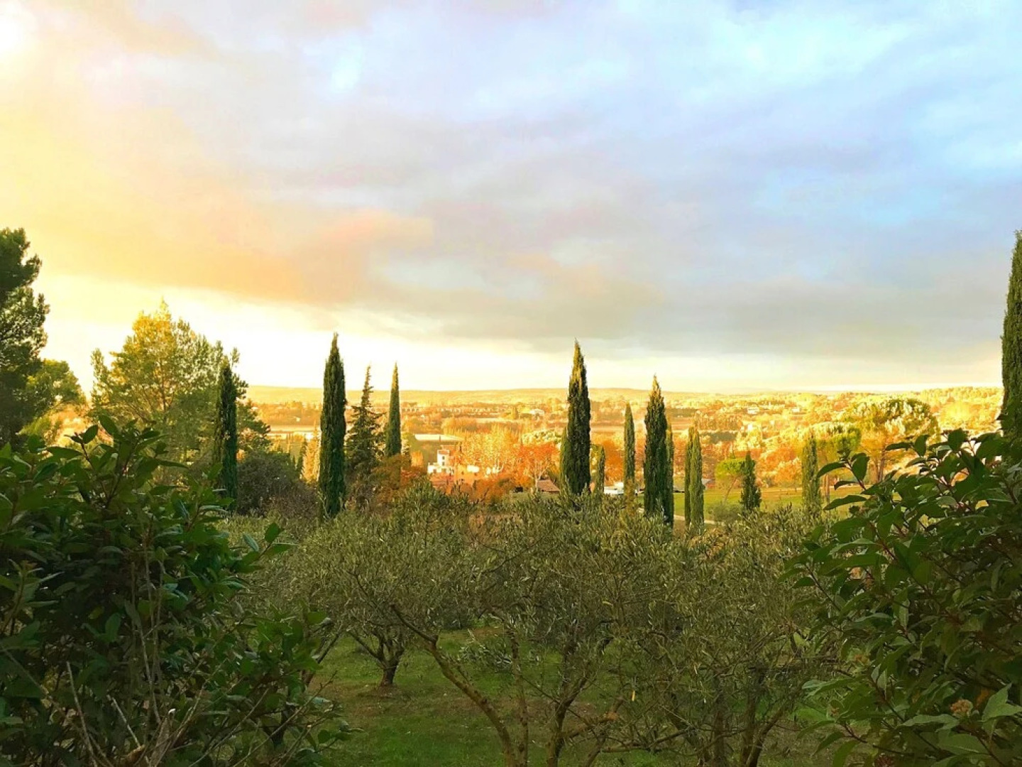 The Provence Experience