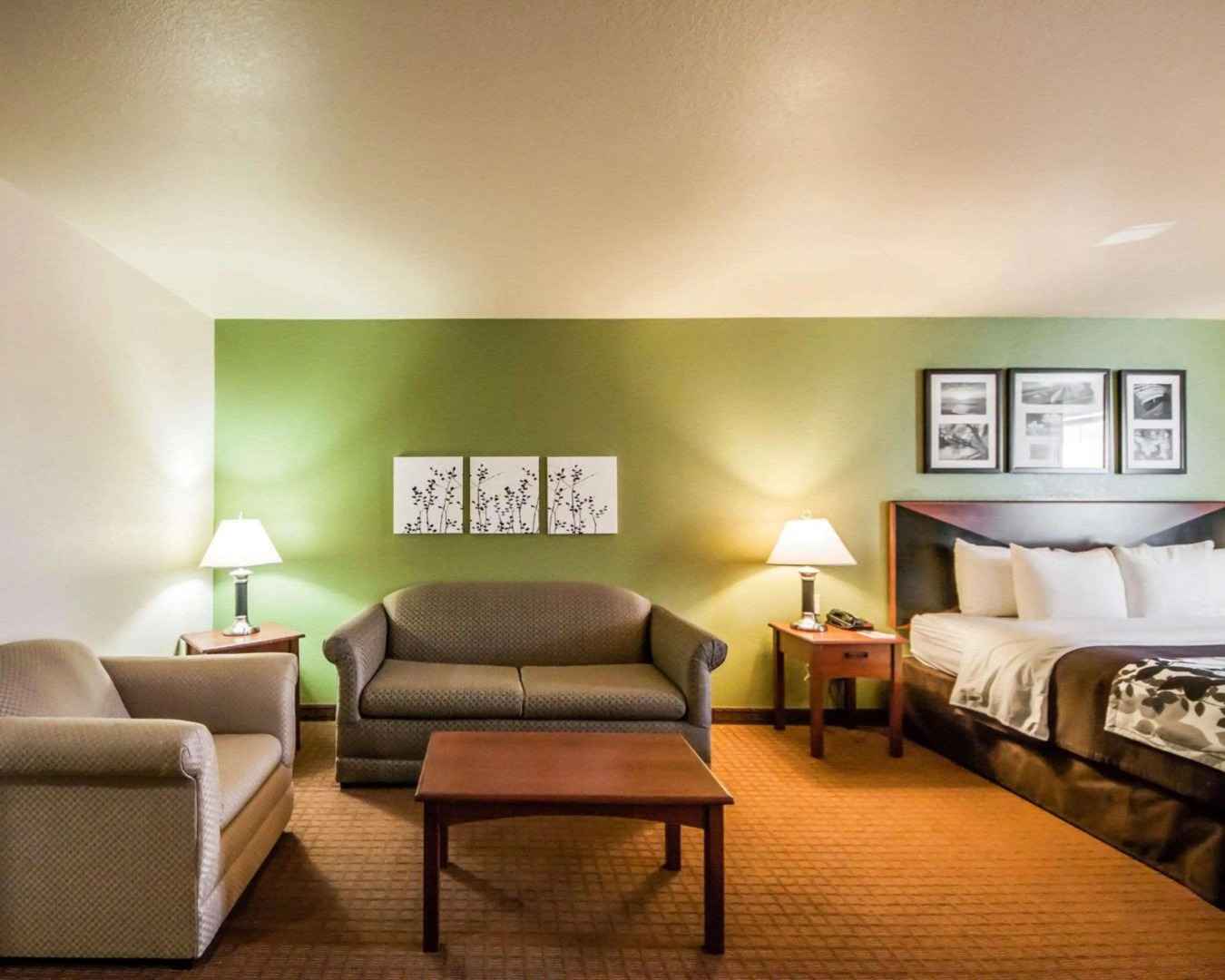 Sleep Inn & Suites Shamrock