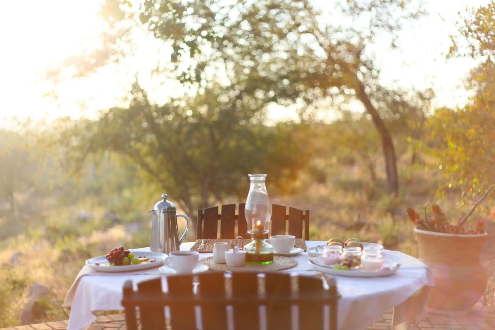 Ivory Wilderness River Rock Lodge