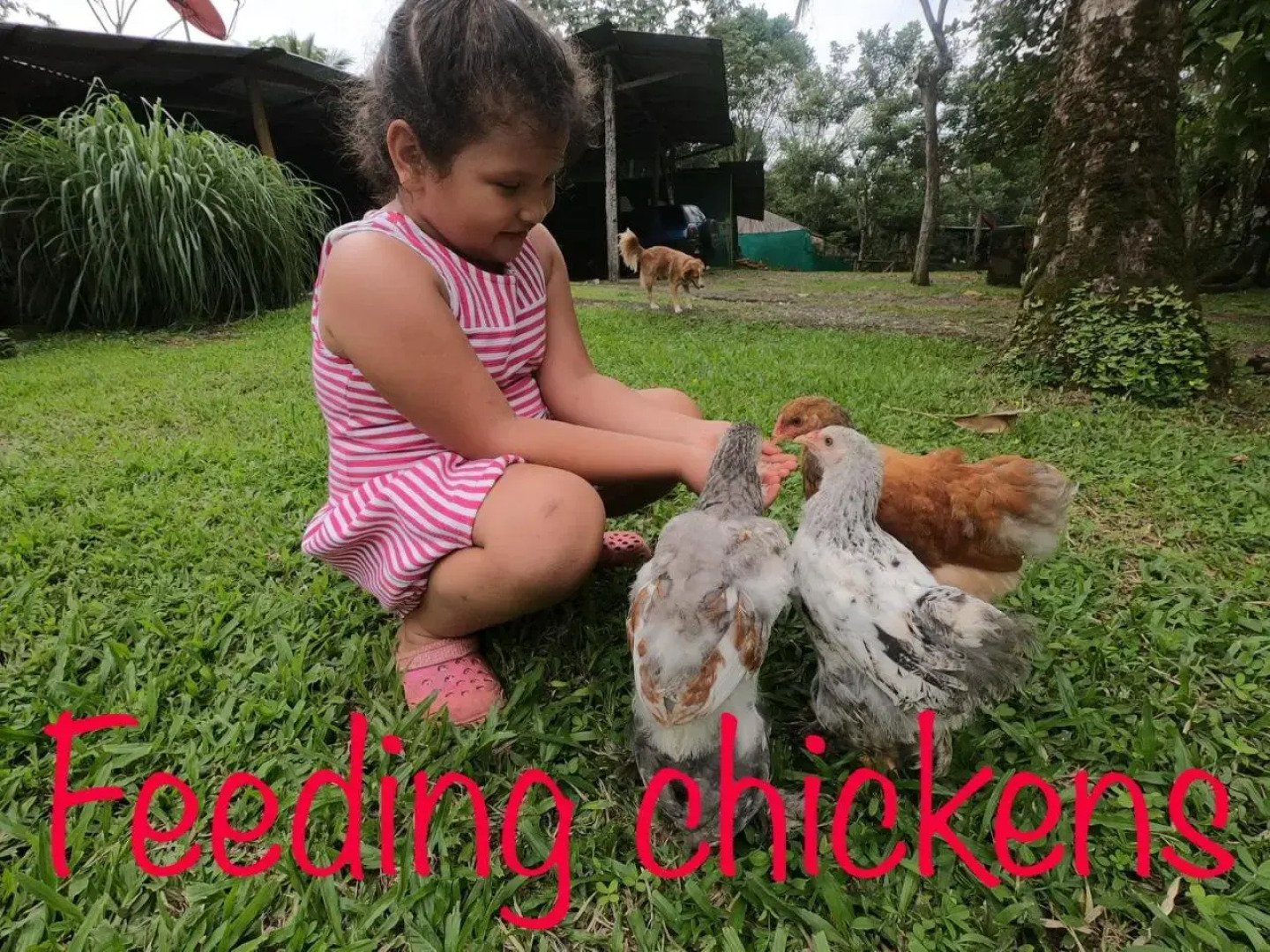 Wendy´s Eco Guest House - Sarapiquí