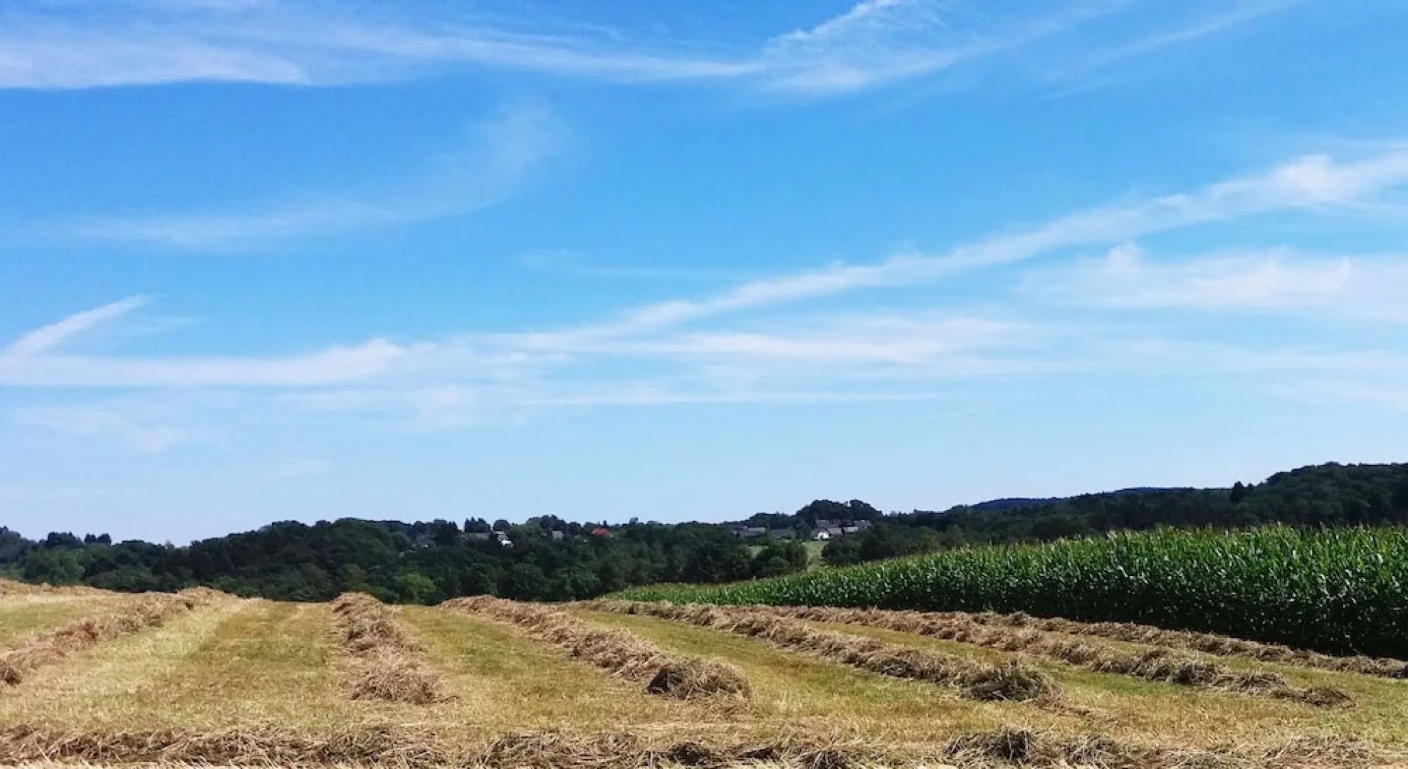 Gräfrath Gästehaus Neunkirchen-Seelscheid
