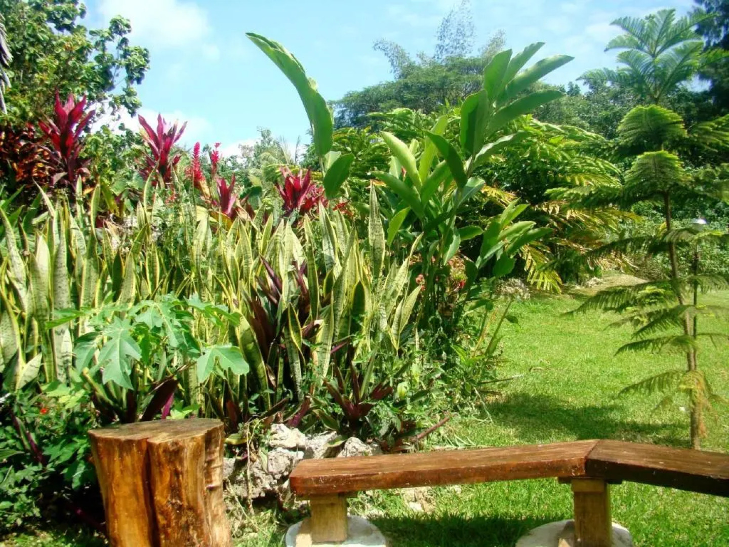 Les Cottages de Bellevue Ecolodge