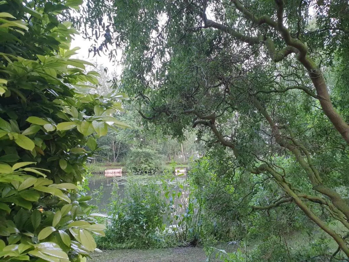 Langdale Lodge Bed & Breakfast