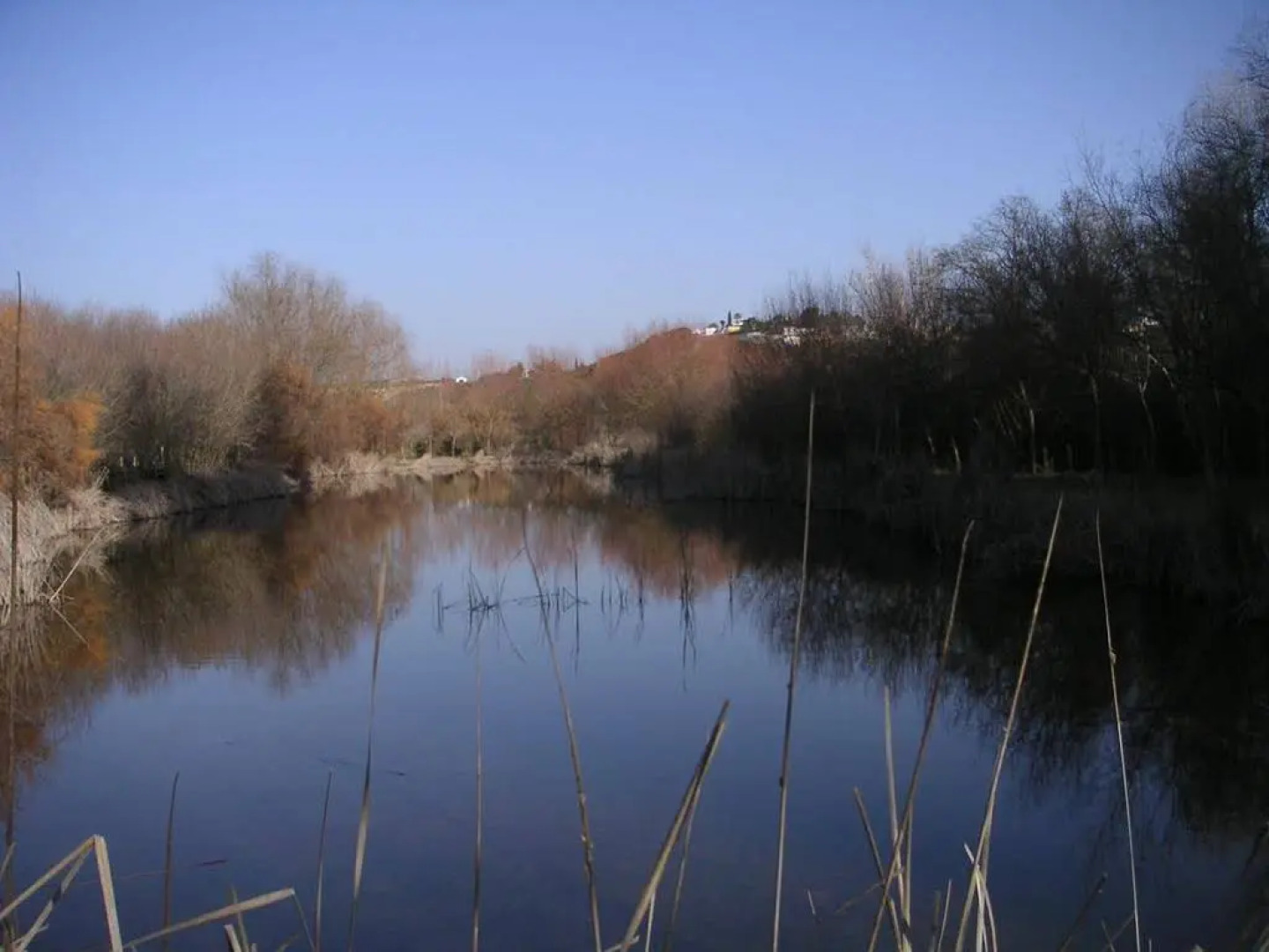 Camping Dehesa Nueva