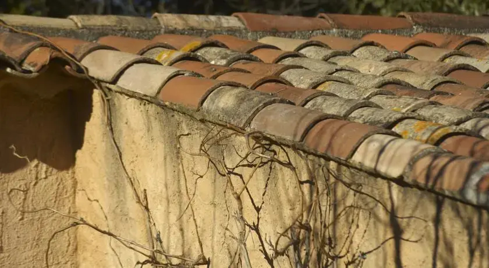 La Bastide des Passions