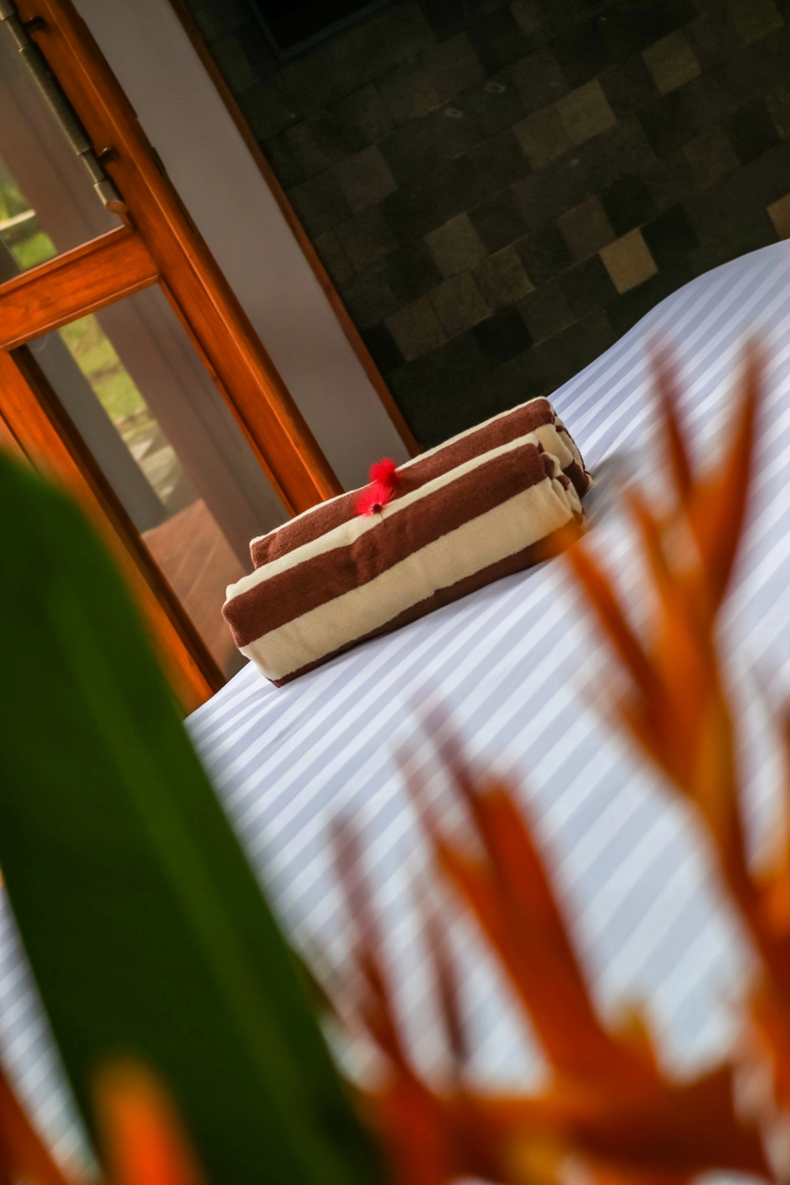 Hotel Le Temple Borobudur