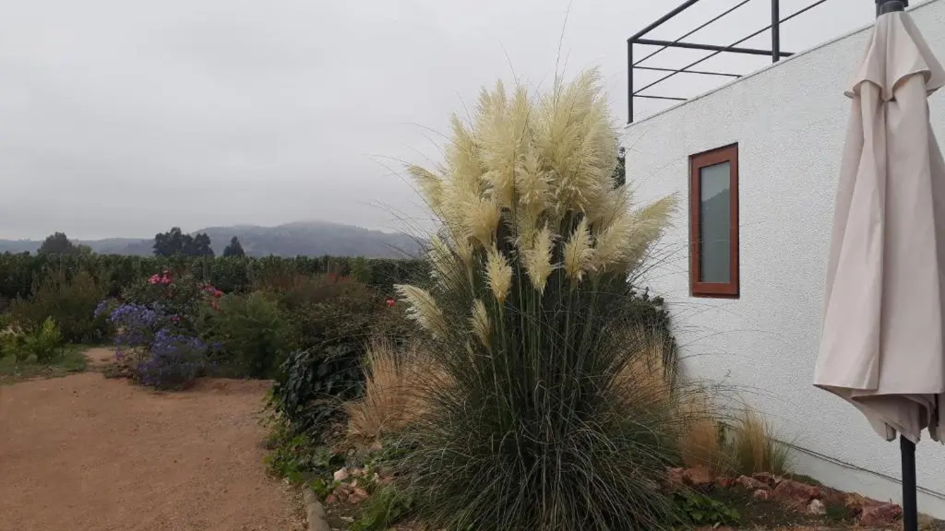 Callihue de Colchagua Lodge