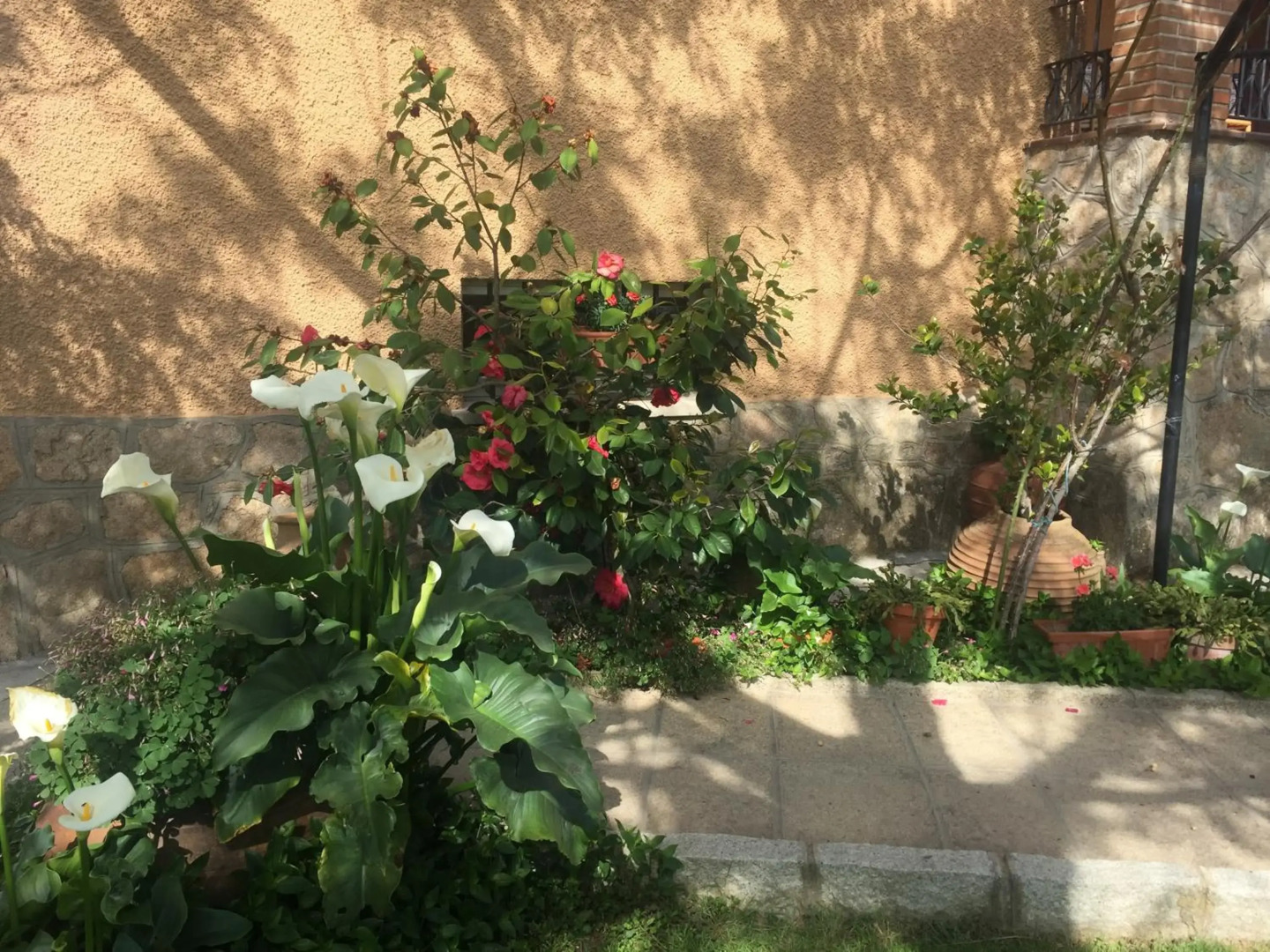 Casa rural Las Erillas