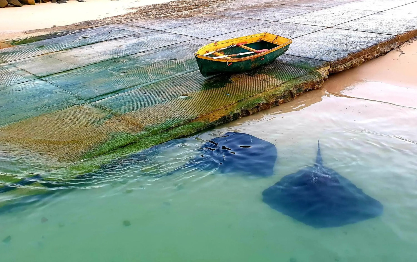 Spring Tide on 28 Main Struisbaai