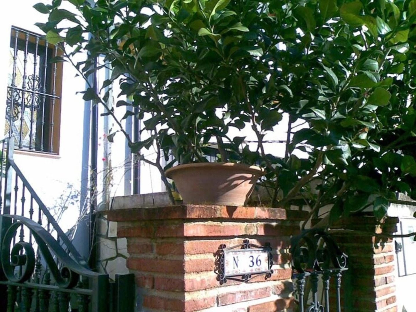 House With 3 Bedrooms in El Bosque, With Private Pool and Terrace - 70