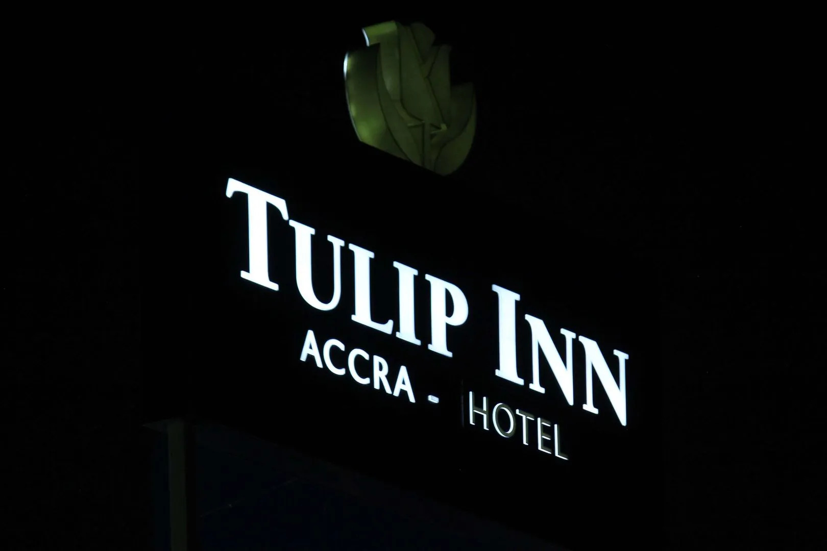 The Tulip By Ave Maria