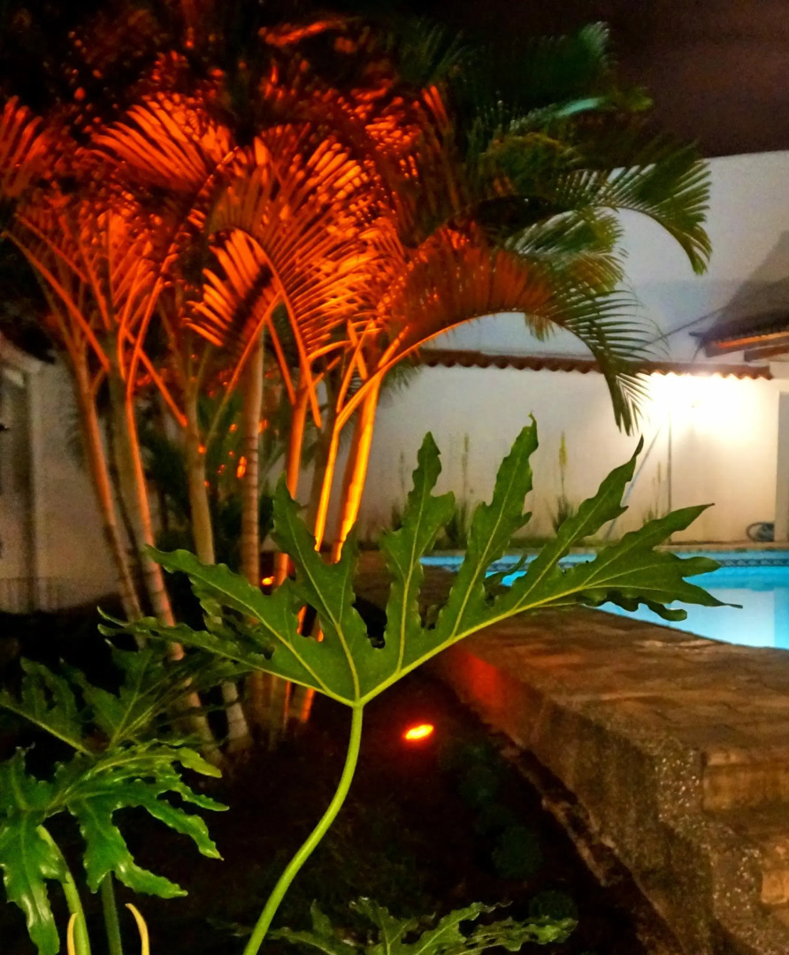 Urban Hotel Boutique