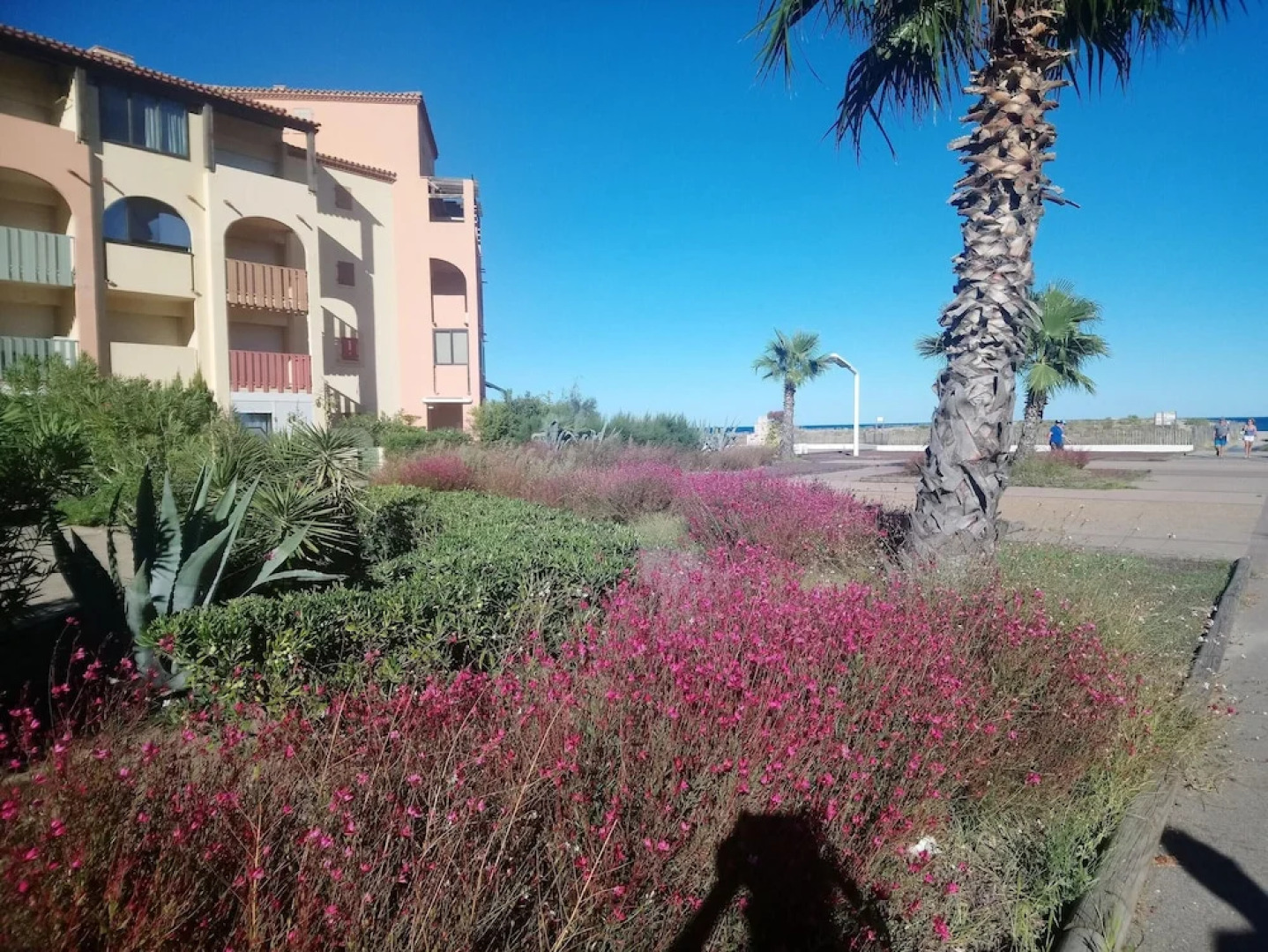 Apartment With one Bedroom in Le Barcarès, With Wonderful sea View and