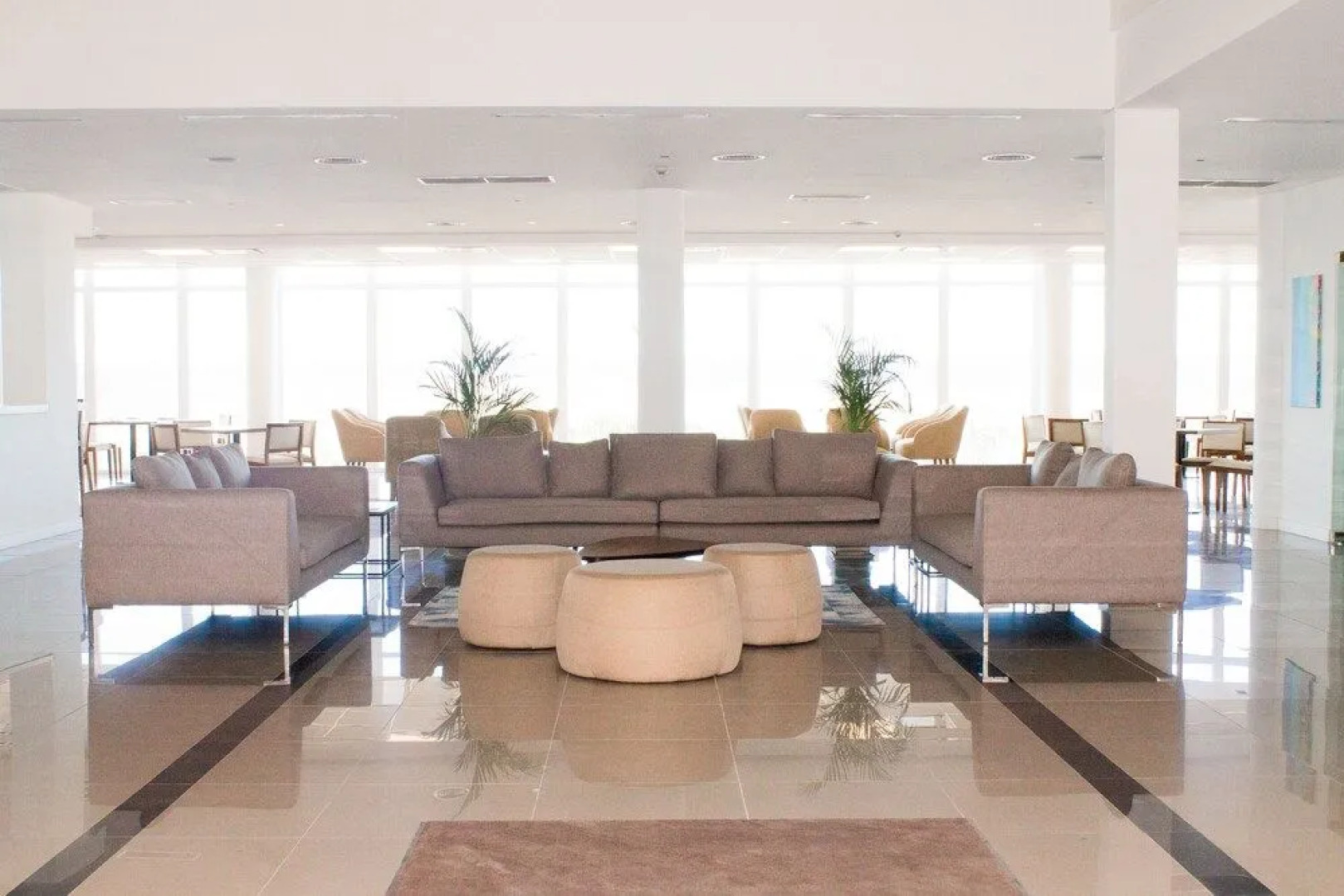 Cyan Wenelen Vaca Muerta