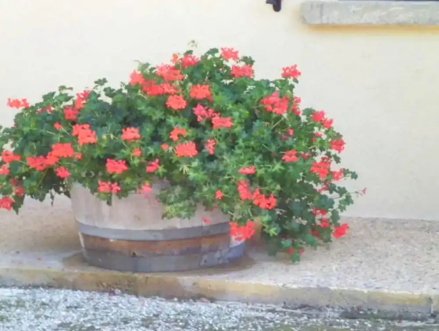 Villa With 3 Bedrooms In Marquay With Private Pool Enclosed Garden And Wifi