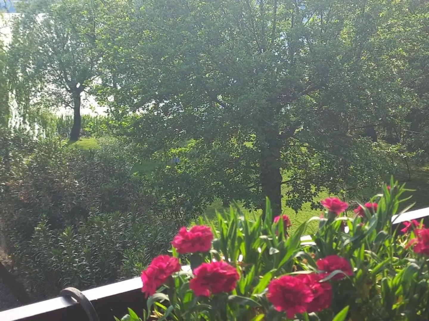 Appartamento Miralago