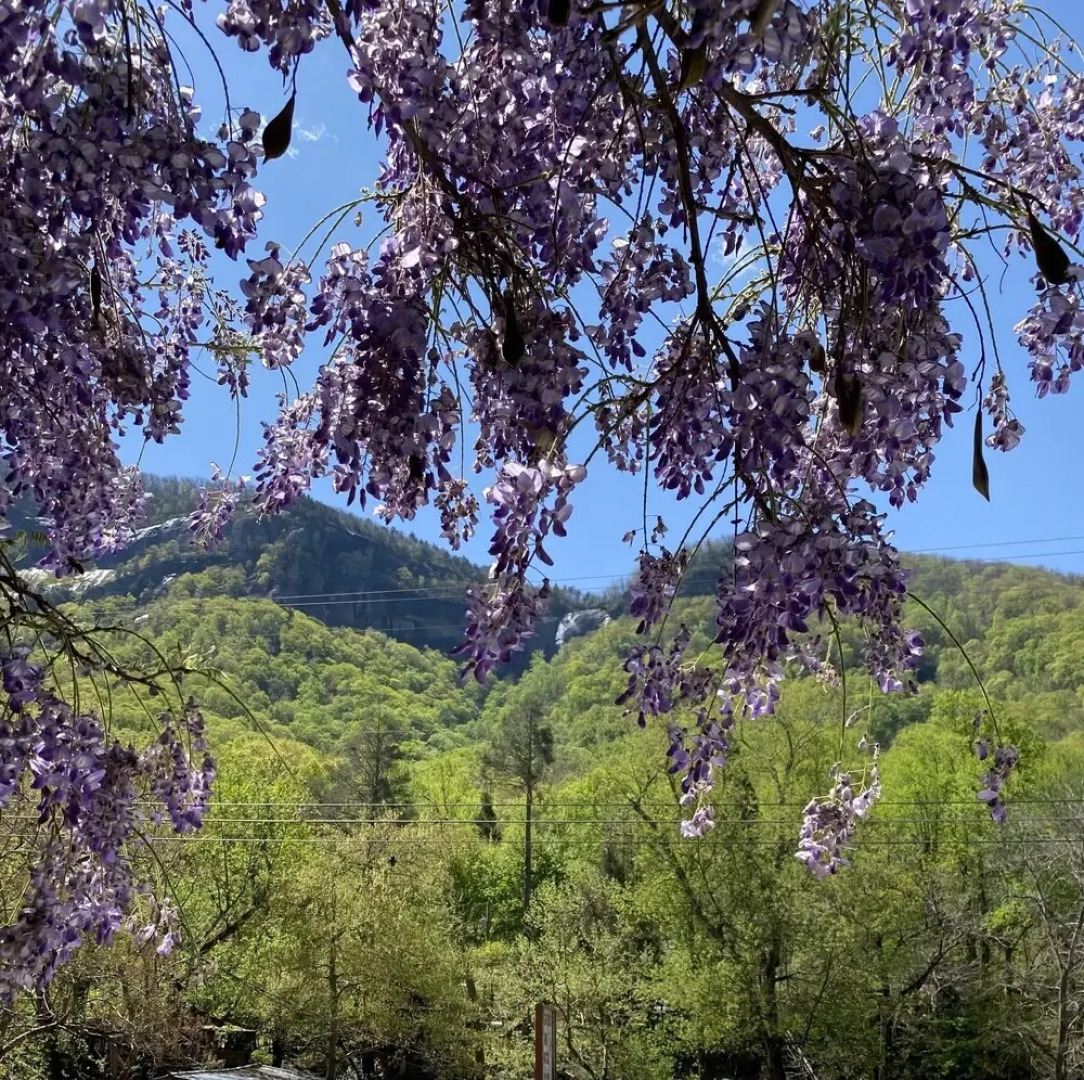 Hickory Falls Guesthouse