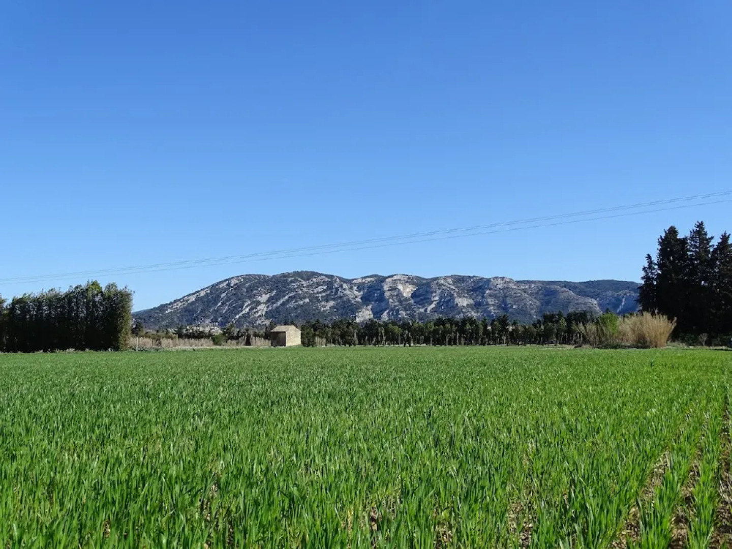 La Louvière des Bruyères