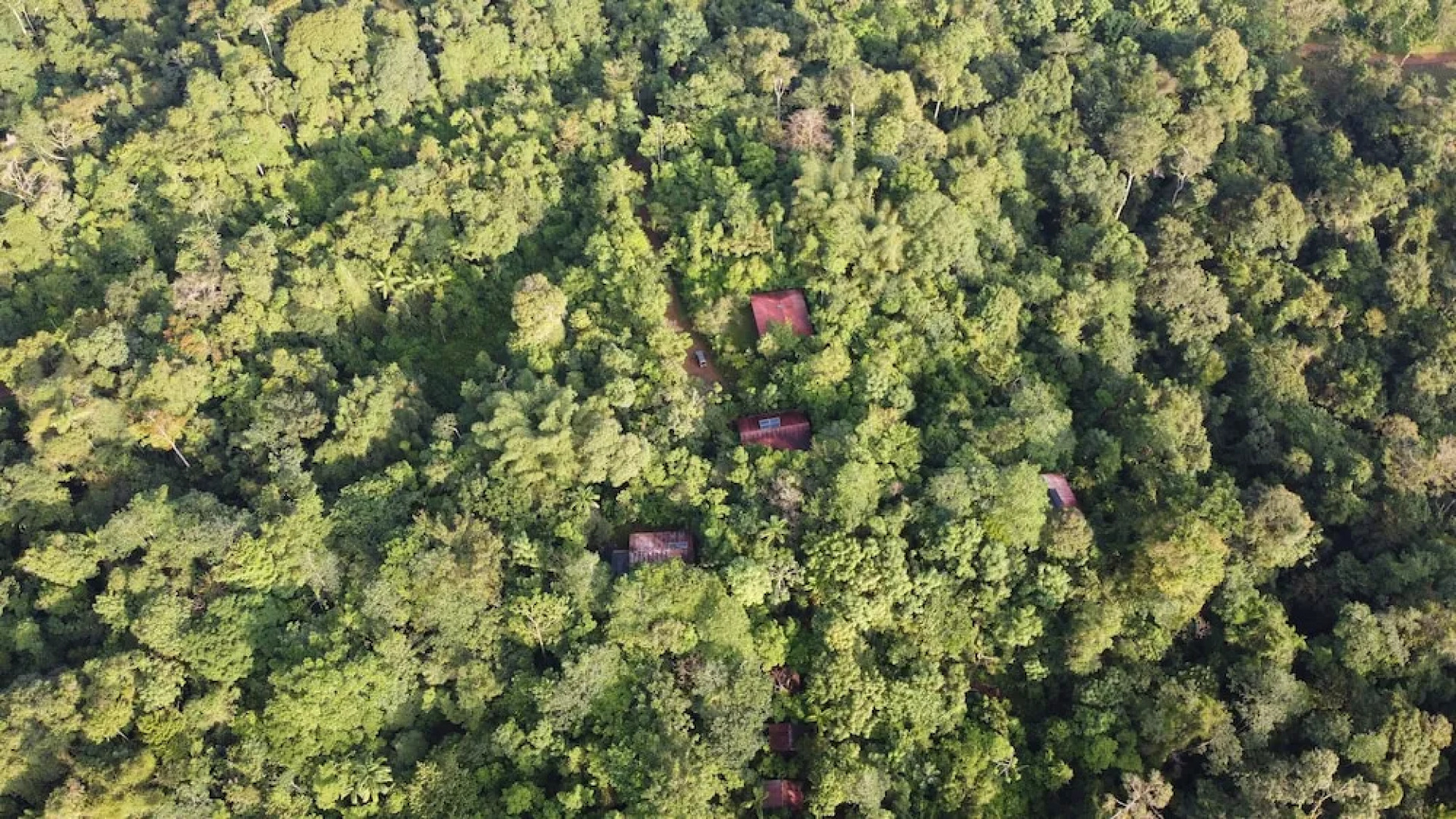 Yatama Ecolodge Sarapiqui