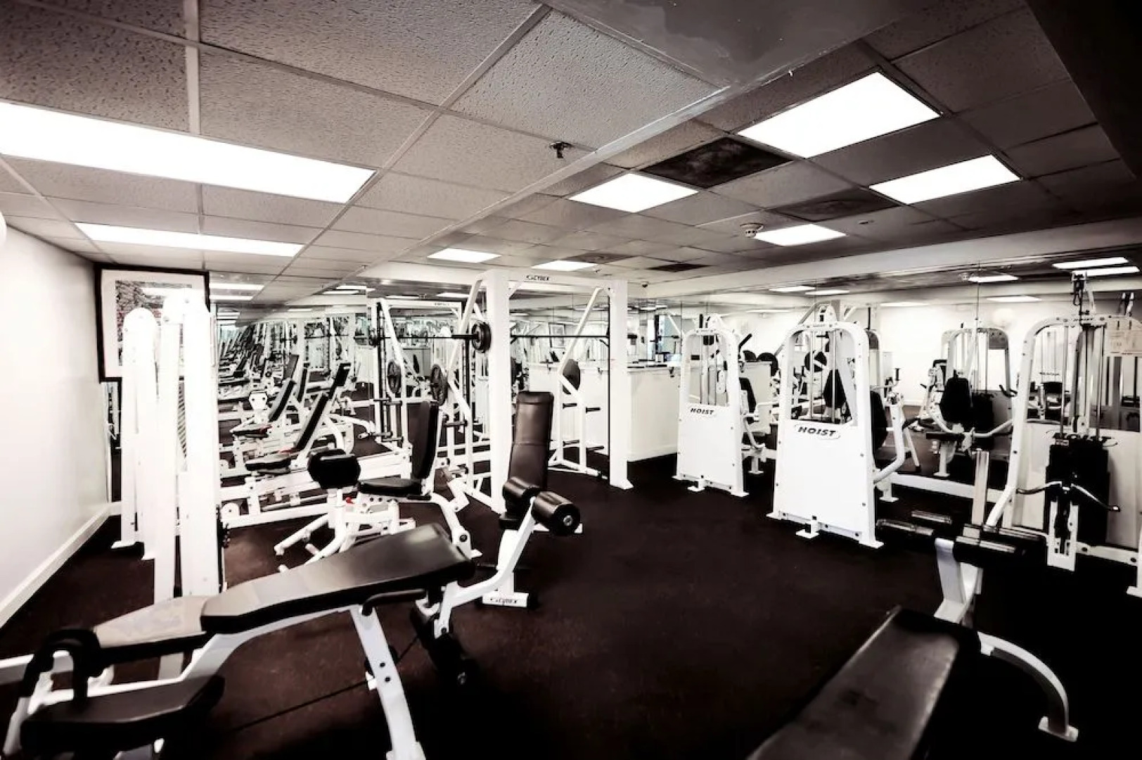 Alexander by Design Suites