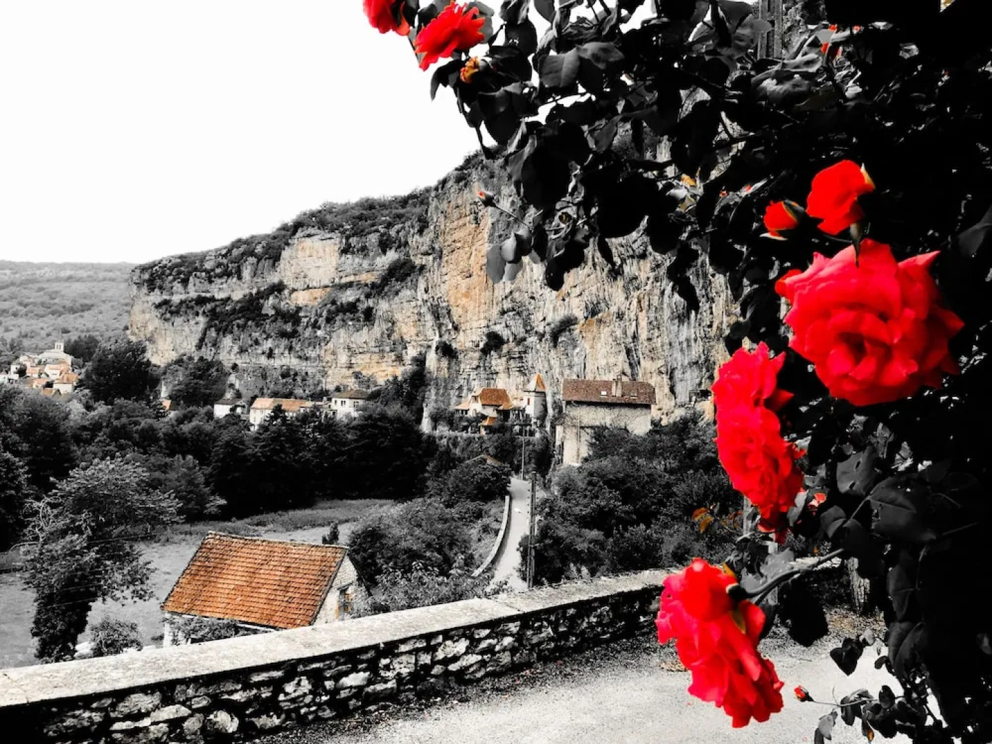 Un jardin dans la falaise