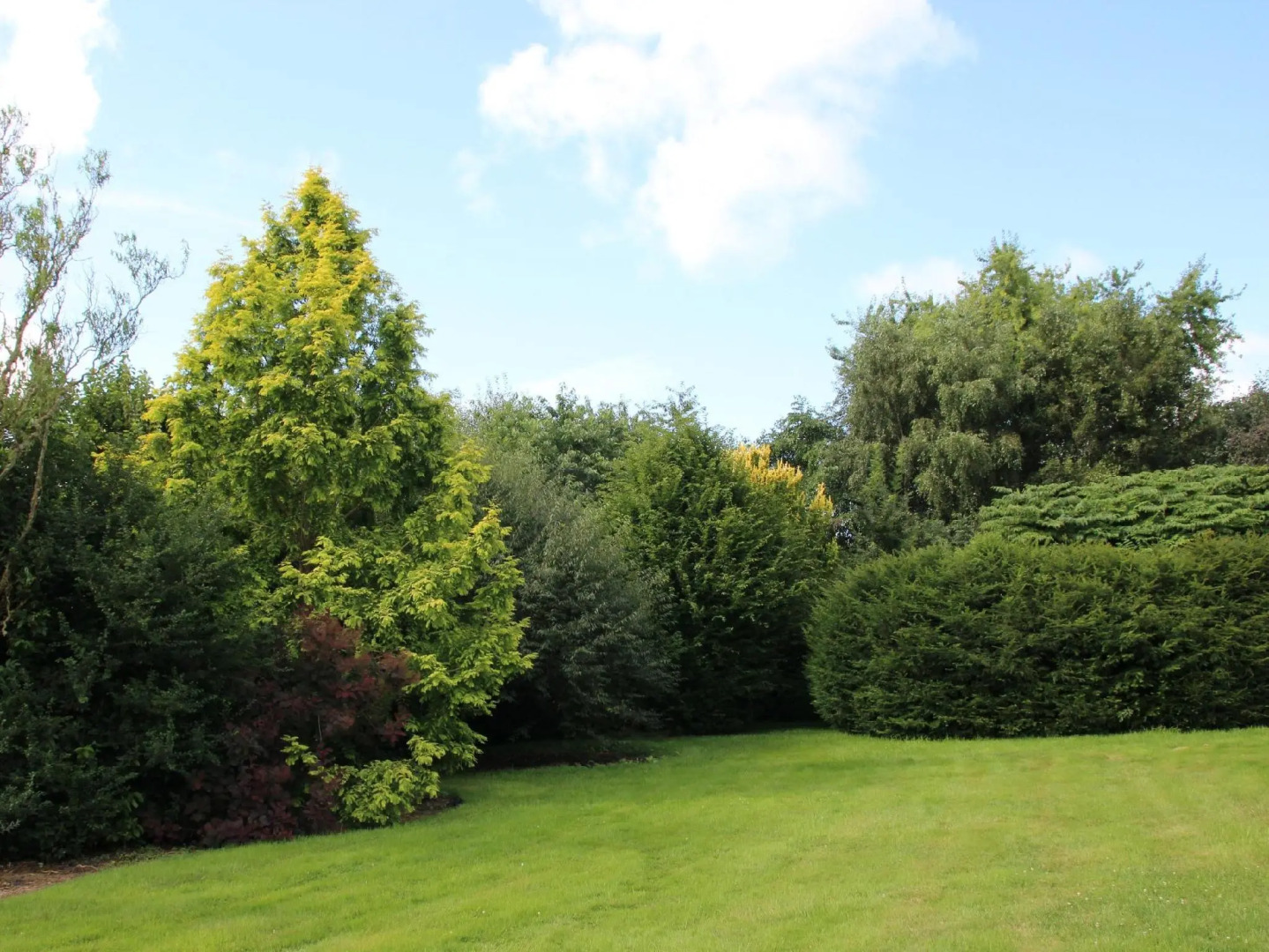 Le Pommenial de la Hérissonnière